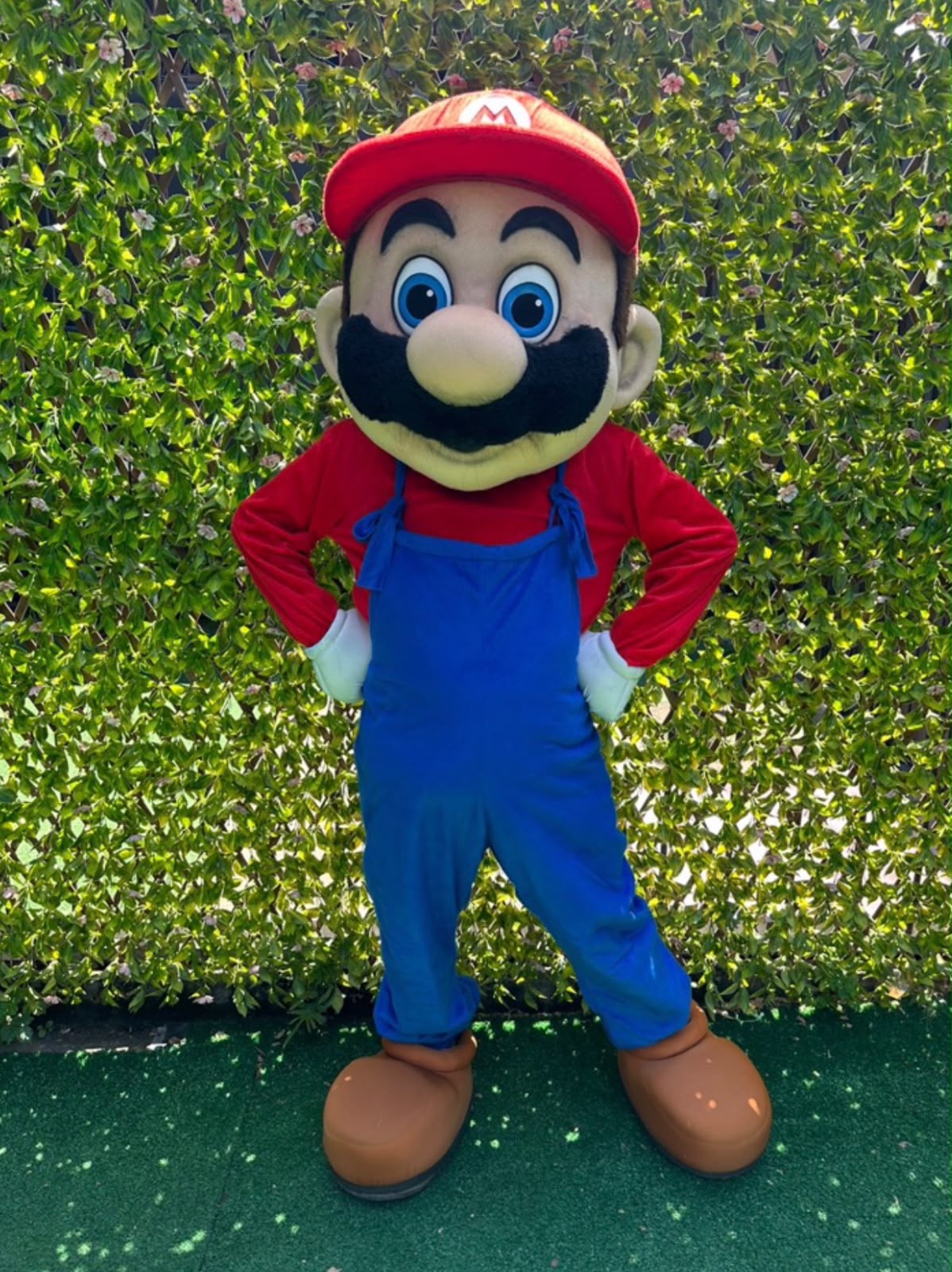 Mario